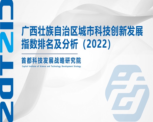 美女让你捅鸡巴【成果发布】广西壮族自治区城市科技创新发展指数排名及分析（2022）